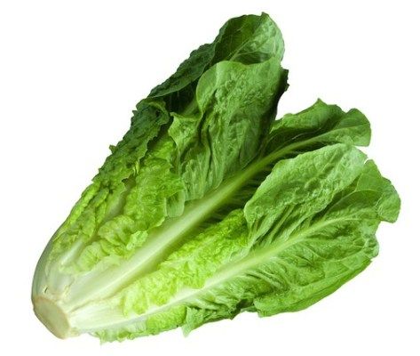 Romaine Lettuce