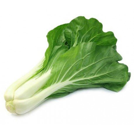 Pak Choi