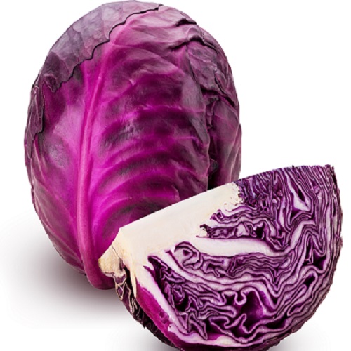 Cabbage Red